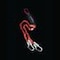 BFD FlexBelt Twin MAS52-TR+50+50